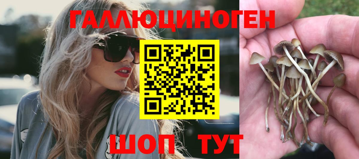 Псилоцибиновые грибы Magic Shrooms Зерноград