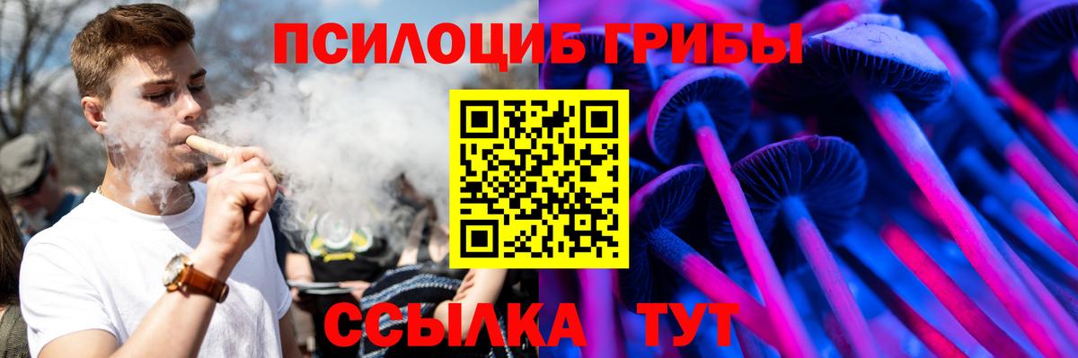 Псилоцибиновые грибы Psilocybe  Вход с VPN  Зерноград  как найти   Галлюциногенные грибы мухоморы 